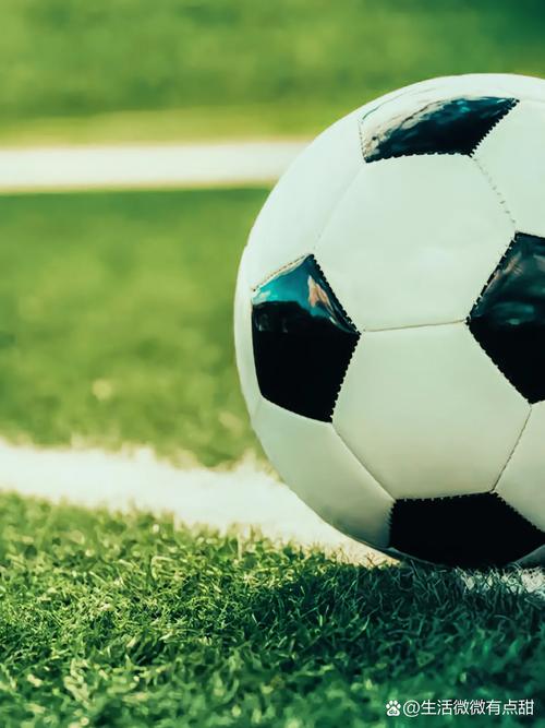 体育爱好者使用场景